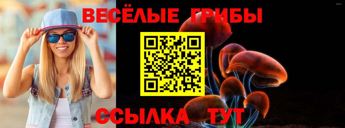 Галлюциногенные грибы Cubensis Гусь-Хрустальный